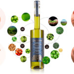 cata-de-aceites-de-oliva