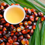 el-aceite-de-palma